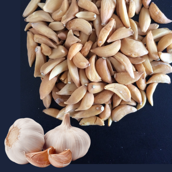 Dehydrated Garlic from 인도 supplied by Ellipsis International - 마늘 가공품