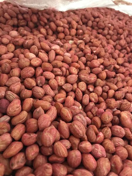 whole peanuts from 미국 supplied by American Peanut Growers Group - Jumbo 땅콩 알맹이