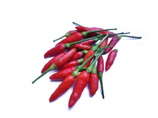 Bird Eye Chilli Red from Thailand supplied by Koerner Agro Export Center - Red Dried Whole Chili Pepper