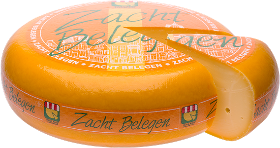 Gouda cheese from 네덜란드 supplied by Geris Dairy Solutions - Round 고다 치즈