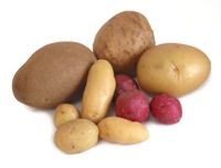 Potato from 파키스탄 supplied by Imtiaz Enterprises - Jute Bag (50kg) 신선 일반 감자