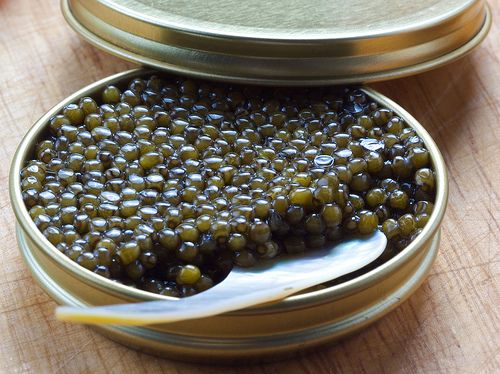 Sturgeon Caviar from 영국 supplied by Caviar De Beluga Ltd - Roe (=Caviar) 신선 철갑상어