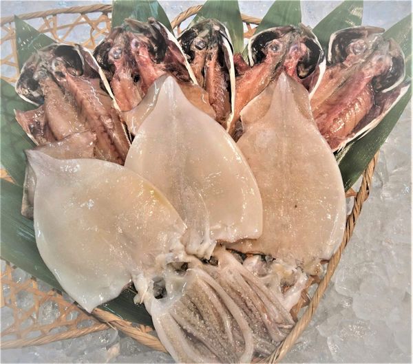 Dried Squid from Japan supplied by Nagai Suisan Co., Ltd. - Dried Frozen Squid