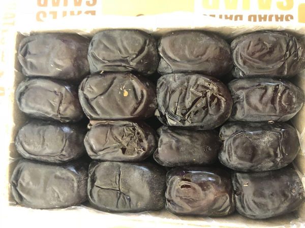 Mazafati Date from 이란 supplied by SAMAN RADMAN SAJAD - Bulk (Bulk in Container or Bulk in Vessel) 신선 대추야자