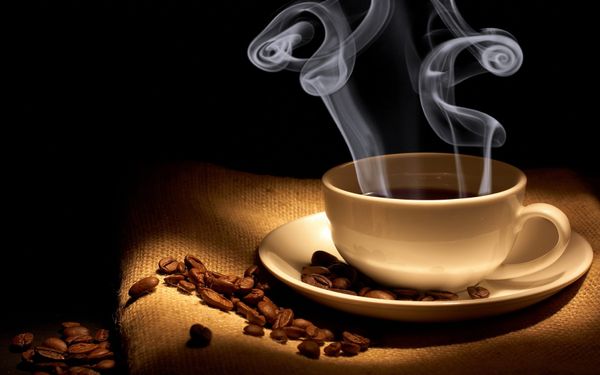 Coffee Bean from 케냐 supplied by Africoff Trading Co. Ltd - Raw (=Unroasted=Green Coffee Beans) 생원두