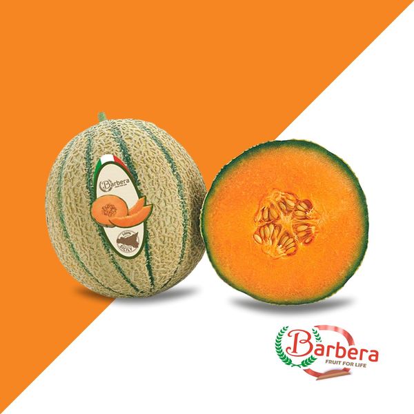 Melon from Italy supplied by Barbera International - Orange Flesh Fresh Melon (Muskmelon)