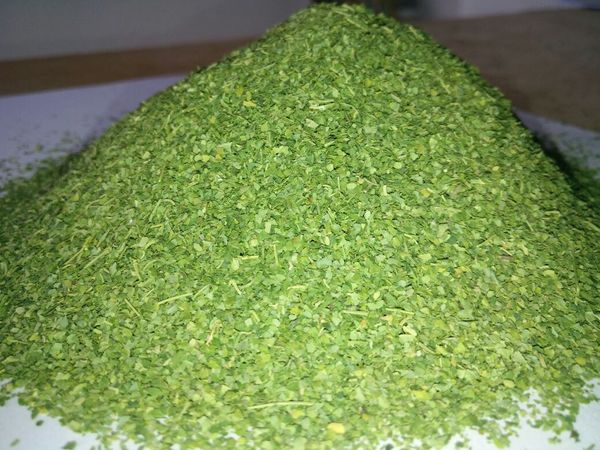Moringa tea cut leaves from 인도 supplied by SVM EXPORTS - 허브차