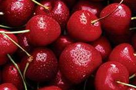 IQF sour cherry whole from 세르비아 supplied by ZADRUGAR DOO - Whole 신선 체리