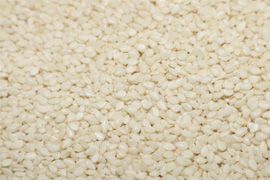 Sesame Seed from 인도 supplied by SRSS Agro Pvt. Ltd. - Hulled 참깨