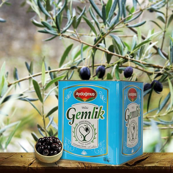 Olives from 튀르키예 supplied by Aydogmus Zeytinleri - Can 올리브 가공품