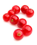 IQF Red currant from 폴란드 supplied by RUN-CHŁODNIA we Włocławku Sp. z o.o. - Red Currant 커런트