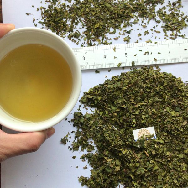 Green tea Vietnam TH fanning tea high-land area high quality from 베트남 supplied by FULMEX., JSC - 최상품 대용량 녹차