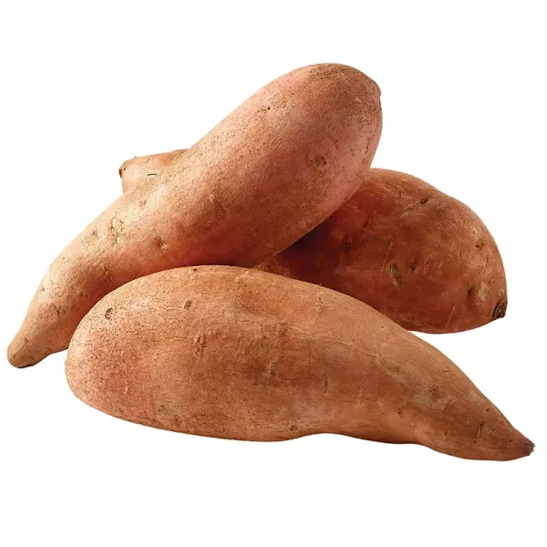 Sweet Potato from 미국 supplied by Jackson Farming Company - Whole 고구마