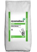 Chico Chicory from 뉴질랜드 supplied by Ravensdown - Deep Tap Root 치커리