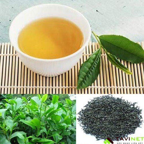 Green Tea from 베트남 supplied by Vchoice Green Vietnam Joint Stock Company - Leaves 대용량 녹차