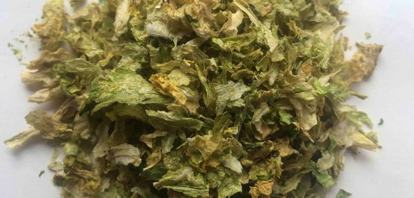 Lettuce from 멕시코 supplied by Rancho La Coyota S.P.R de R.L. - Chopped 신선 상추