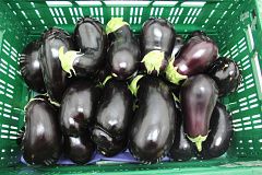 Eggplant from Netherlands supplied by Agf online - Purple (=Violet) Eggplant