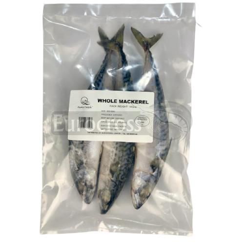 Frozen Mackerel from Spain supplied by EUROCROSS FROZEN FOODS (BD) LTD - Atlantic Mackerel (=Scomber scombrus =Boston Mackerel) Frozen Mackerel