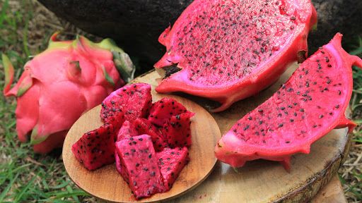 Dragon Fruit from Indonesia supplied by PT. Global Fajar Indonesia - Large Fresh Dragon Fruit