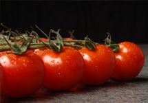 Fresh Tomato from 폴란드 supplied by Frudis Sp. Z O.o. - Conventional 신선 토마토