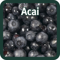Acai from 볼리비아 supplied by Agroseller SRL - Purple Varieties (=Black Varieties) 신선 아사이