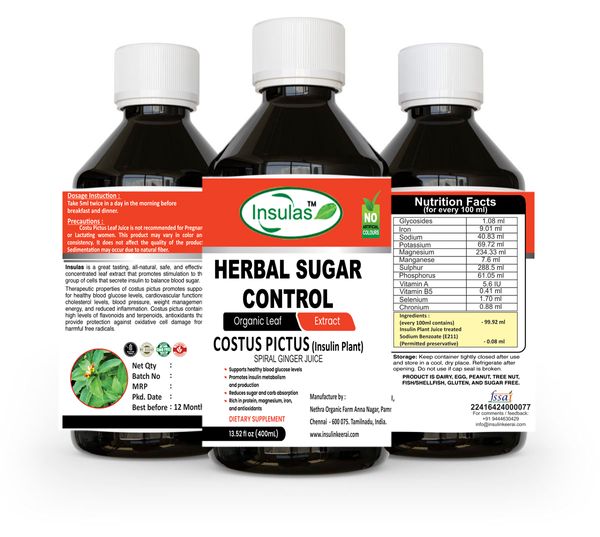 Anti diabetic juice from 인도 supplied by Nethra Organic Farm - Extracted from fresh leaves of insulin plant 기타 주스 상품