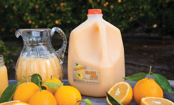 FRESH SQUEEZED ORANGE JUICE from United States supplied by Perricone Farms - Large Orange Juice