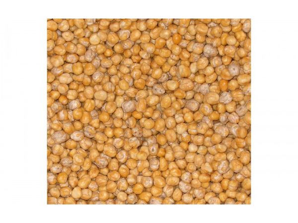 Chickpea from 그리스 supplied by MATOUKOGLOU BROS CO. - Whole 말린 병아리콩