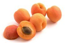 Fresh Apricot from Spain supplied by Exofi - Whole Fresh Apricot