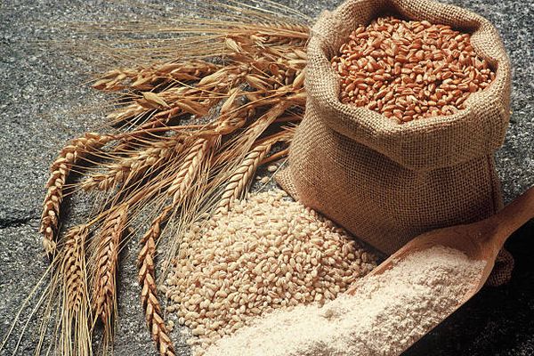 spelt flour from 캐나다 supplied by Brant Flour Mills - Organic 스펠트밀가루