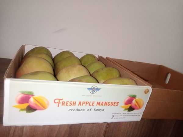 Apple mangoes from 케냐 supplied by Mina Global Foods Supplies LLC - 사과 신선 망고