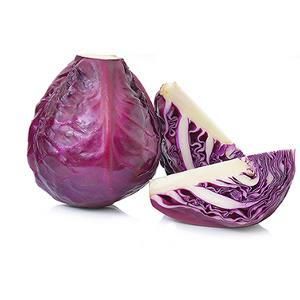 Fresh Cabbage from 이스라엘 supplied by Le-Mishmeret Farm - 적양배추 신선 양배추