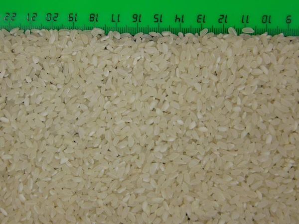 Rapan Rice from 러시아 supplied by Agro-Alliance Ltd - As per customer's request 쌀