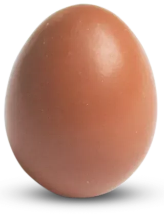 Brown Chicken Egg from 폴란드 supplied by Fermy Drobiu Woźniak Sp. z o.o. - In Shell 달걀