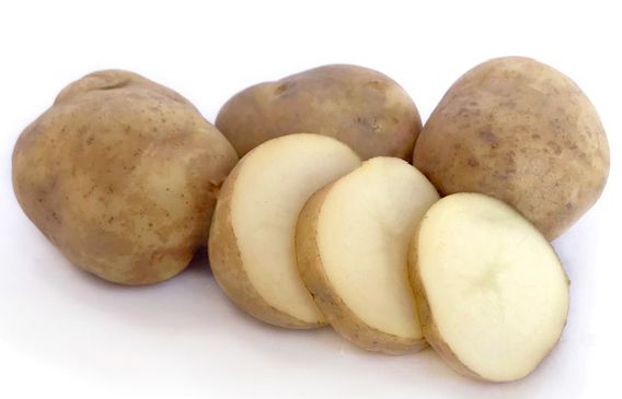 Jersey Bennes Seed Potato from New Zealand supplied by Morton Smith-Dawe Ltd - White Seed Potato
