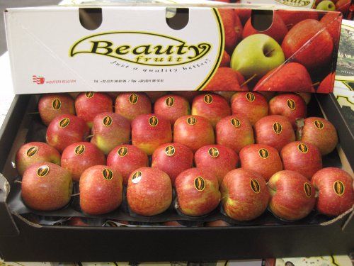 Apple from 벨기에 supplied by Fruithandel Wouters - Whole 신선 사과