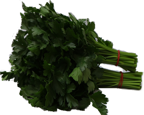 Parsley from Kenya supplied by Taste Kenya Exporters Ltd - Green Parsley