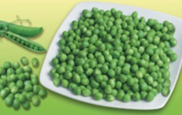 Frozen Round Green Bean from 그리스 supplied by Greek Agora Ltd - Round 말린 일반 콩
