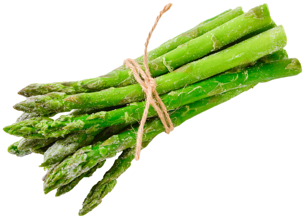 Asparagus from 칠레 supplied by NATURANDINA CHILE S.A. - Tips 신선 아스파라거스