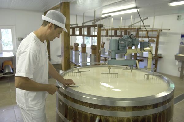 Milk from United Kingdom supplied by Winterdale Cheesemaker - Liquid Cow Milk