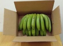Banana from Kenya supplied by Wamu Investments Ltd - Green Fresh Banana