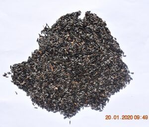 Niger Seeds from 에티오피아 supplied by EDAO International Trading - Raw 니거 종자