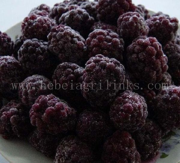 Blackberry from 중국 supplied by Hebei Agrilinks Imp.& Exp. Co., Ltd. - Whole 신선 블랙베리