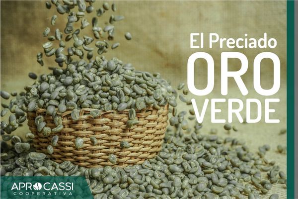 Coffee from Peru supplied by Cooperat. De Serv. Multiples Aprocassi - Brown Raw Common Coffee Bean
