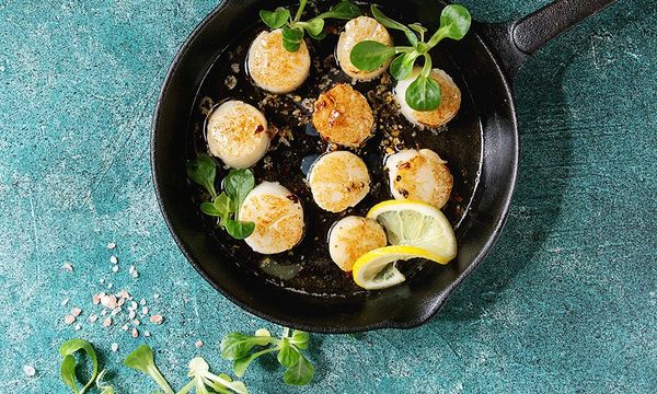 Frozen Scallop from 미국 supplied by Lotus Seafood Inc. - Cooked (Not Frozen) 냉동 가리비
