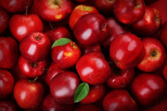Apple from 칠레 supplied by Comercial RD LTDA - Red 신선 사과
