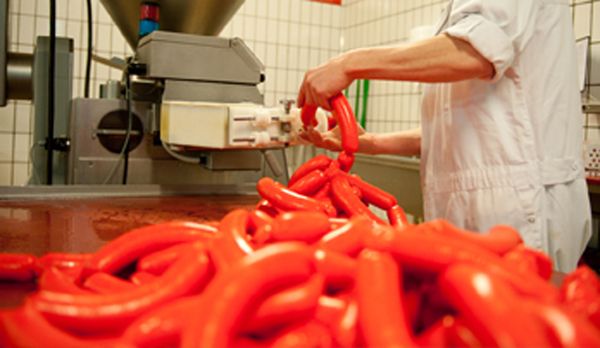 Hotdog from Belgium supplied by Michiels Vleeswaren - Frozen Canned Pork Meat