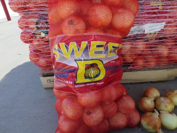 Onion from 미국 supplied by Echo International Export - White 신선 양파