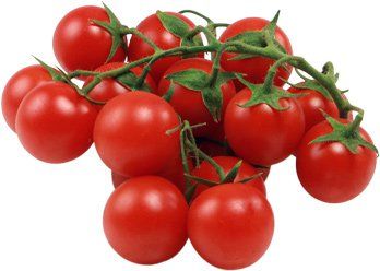 Fresh Tomato from 독일 supplied by Biohof Meyer to Theenhausen - Red 신선 토마토