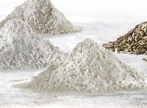 Rye from Germany supplied by goodmills - Powder Rye